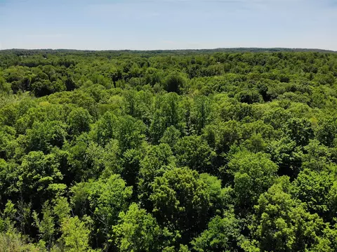 V/l Dutch Settlement, Marcellus, MI 49067 photo 19