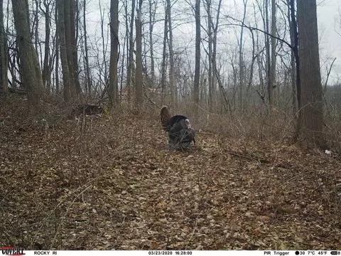 V/l Dutch Settlement, Marcellus, MI 49067 photo 26