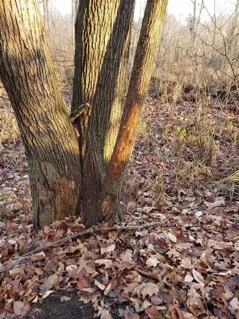 V/l Dutch Settlement, Marcellus, MI 49067 photo 25