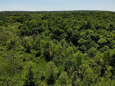 V/l Dutch Settlement, Marcellus, MI 49067 photo 18