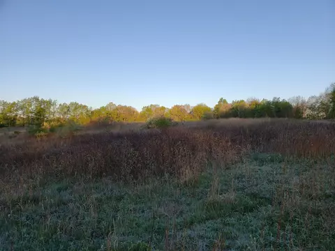 V/l Dutch Settlement, Marcellus, MI 49067 photo 13