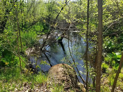 V/l Dutch Settlement, Marcellus, MI 49067 photo 8