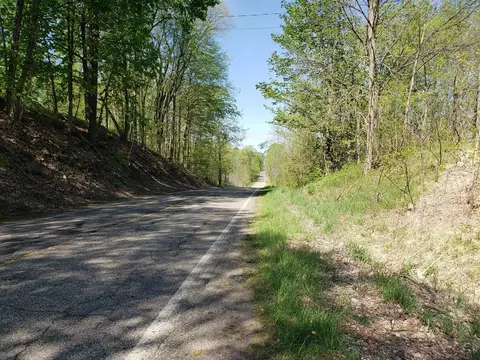 V/l Dutch Settlement, Marcellus, MI 49067 photo 3