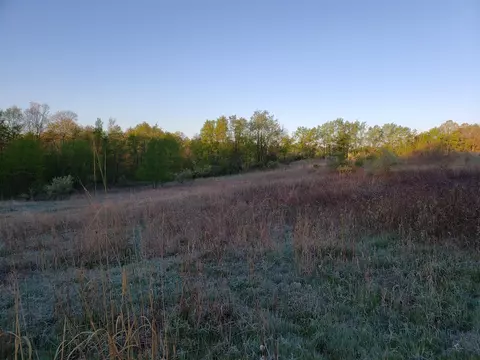 V/l Dutch Settlement, Marcellus, MI 49067 photo 14
