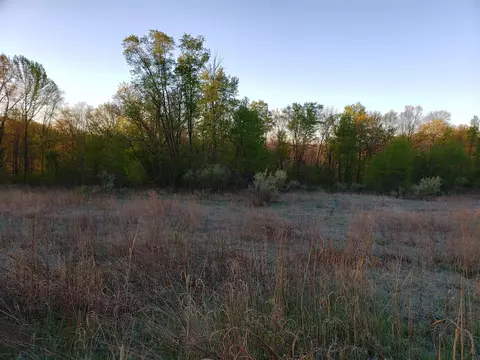 V/l Dutch Settlement, Marcellus, MI 49067 photo 15