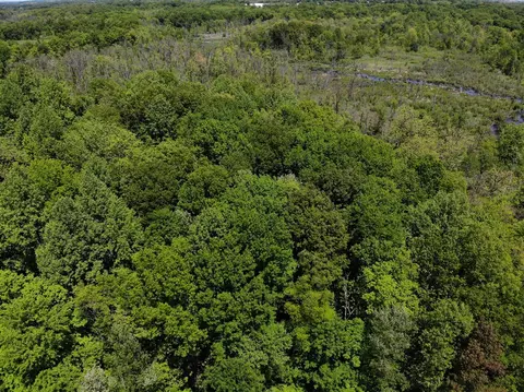 V/l Dutch Settlement, Marcellus, MI 49067 photo 23