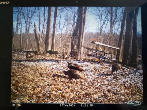 V/l Dutch Settlement, Marcellus, MI 49067 photo 33