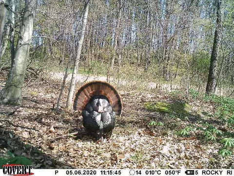 V/l Dutch Settlement, Marcellus, MI 49067 photo 27