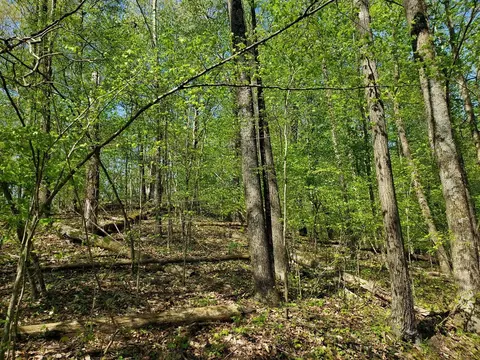 V/l Dutch Settlement, Marcellus, MI 49067 photo 10