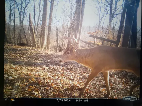 V/l Dutch Settlement, Marcellus, MI 49067 photo 32