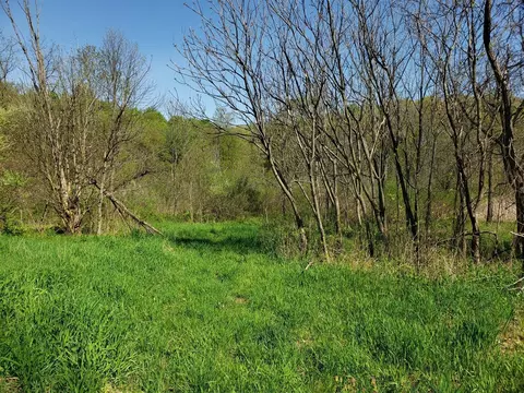 V/l Dutch Settlement, Marcellus, MI 49067 photo 7