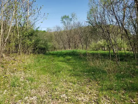 V/l Dutch Settlement, Marcellus, MI 49067 photo 5