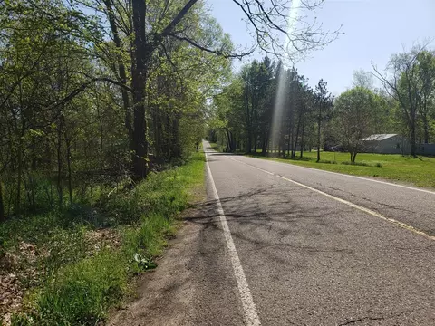 V/l Dutch Settlement, Marcellus, MI 49067 photo 4