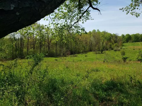 V/l Dutch Settlement, Marcellus, MI 49067 photo 11