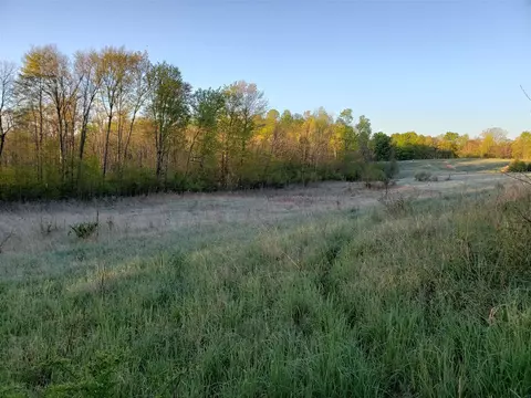 V/l Dutch Settlement, Marcellus, MI 49067 photo 16