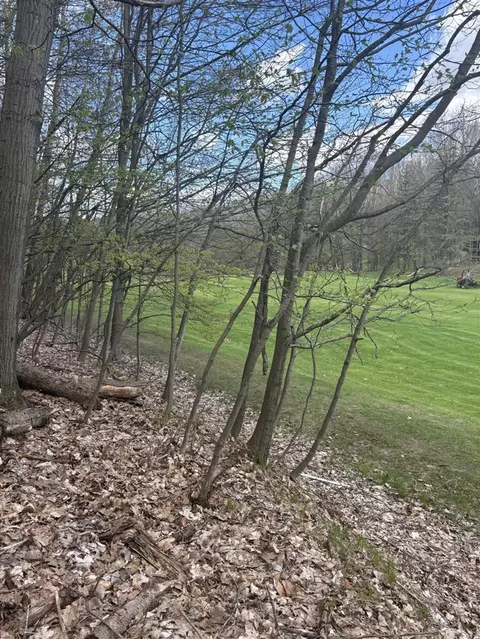 9710 Pere Marquette Dr, Canadian Lakes, MI 49346