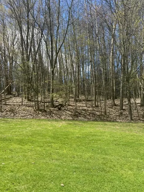 9690 Pere Marquette, Canadian Lakes, MI 49346