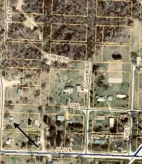 17055 State, Copemish, MI 49625 photo 35