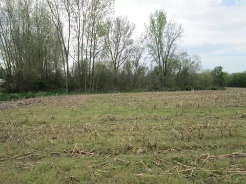 V/l Holden, Buchanan, MI 49107 photo 9