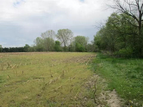 V/l Holden, Buchanan, MI 49107 photo 18