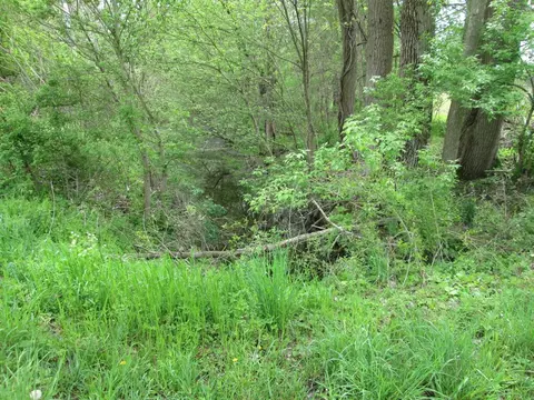 V/l Holden, Buchanan, MI 49107 photo 19