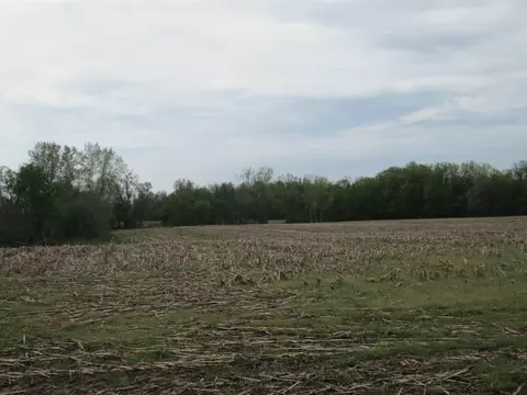 V/l Holden, Buchanan, MI 49107 photo 12