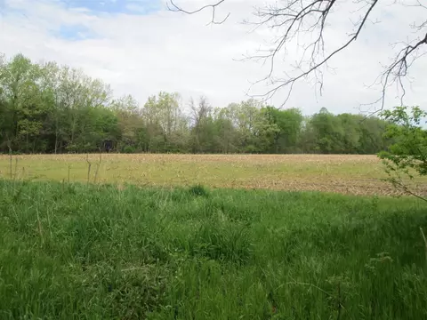 V/l Holden, Buchanan, MI 49107 photo 7