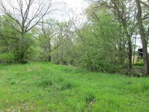 V/l Holden, Buchanan, MI 49107 photo 17