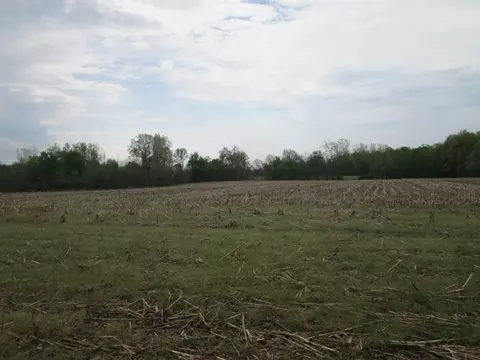 V/l Holden, Buchanan, MI 49107 photo 13