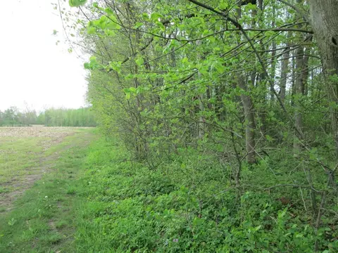 V/l Holden, Buchanan, MI 49107 photo 14