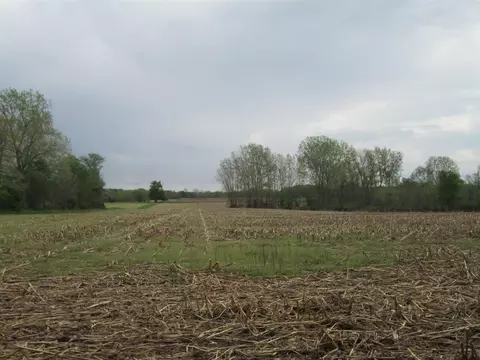 V/l Holden, Buchanan, MI 49107 photo 15