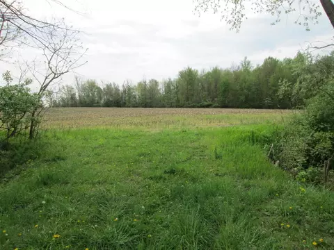 V/l Holden, Buchanan, MI 49107 photo 20