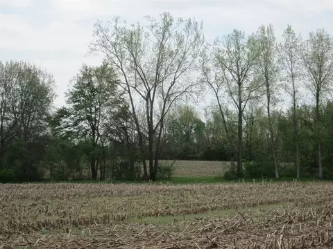 V/l Holden, Buchanan, MI 49107 photo 16