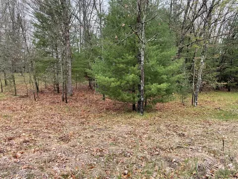 V/l Bass Lake, Irons, MI 49644 photo 3