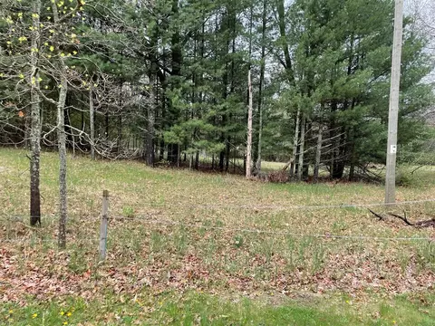 V/l Bass Lake, Irons, MI 49644 photo 11