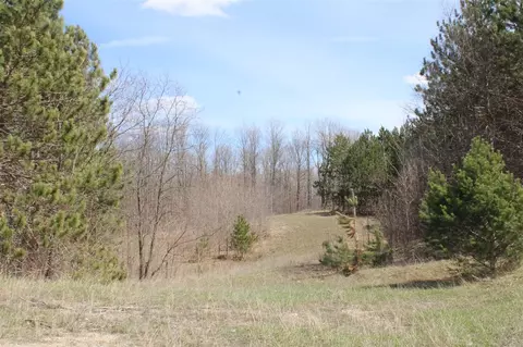 0 Vl Pyke School Rd, Vanderbilt, MI 49795 photo 17