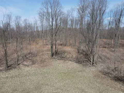 0 Vl Pyke School Rd, Vanderbilt, MI 49795 photo 11