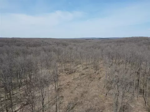 0 Vl Pyke School Rd, Vanderbilt, MI 49795 photo 12