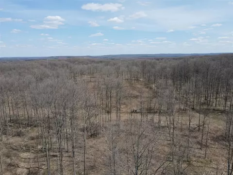 0 Vl Pyke School Rd, Vanderbilt, MI 49795 photo 13