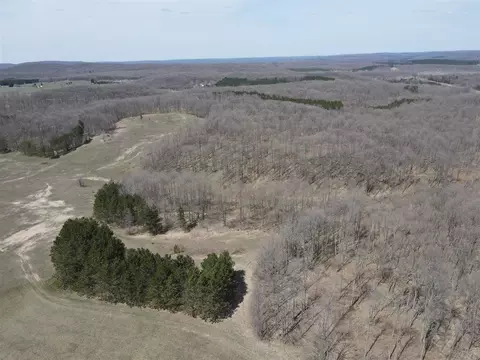 0 Vl Pyke School Rd, Vanderbilt, MI 49795 photo 2