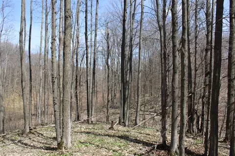 0 Vl Pyke School Rd, Vanderbilt, MI 49795 photo 20