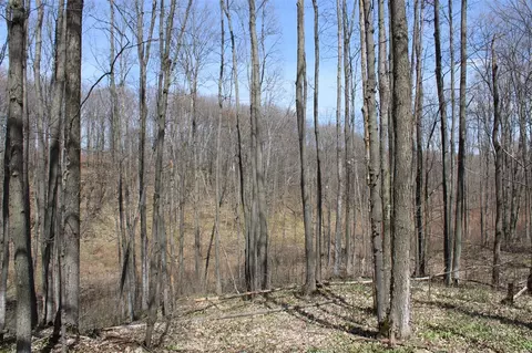 0 Vl Pyke School Rd, Vanderbilt, MI 49795 photo 19