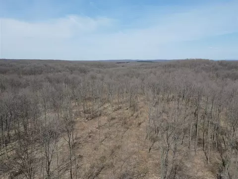0 Vl Pyke School Rd, Vanderbilt, MI 49795 photo 14