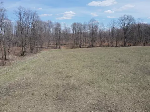 0 Vl Pyke School Rd, Vanderbilt, MI 49795 photo 10