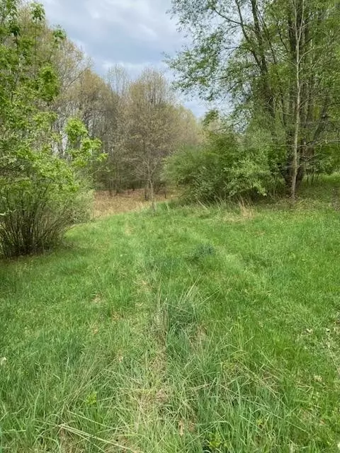 Springport, Parma, MI 49269 photo 2
