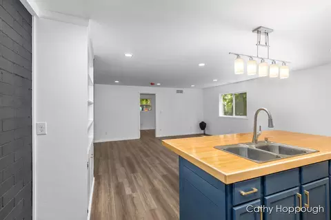 527 S 1st, Edmore, MI 48829 photo 33