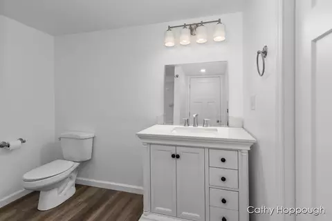 527 S 1st, Edmore, MI 48829 photo 25