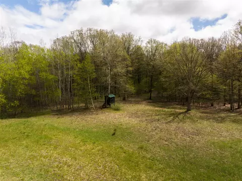 0 180th, Morley, MI 49336 photo 11
