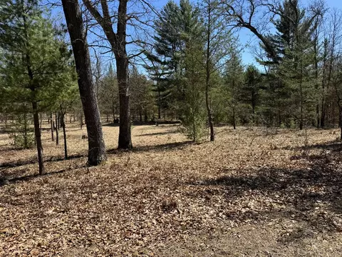 8900 E Koenig, Irons, MI 49644 photo 16