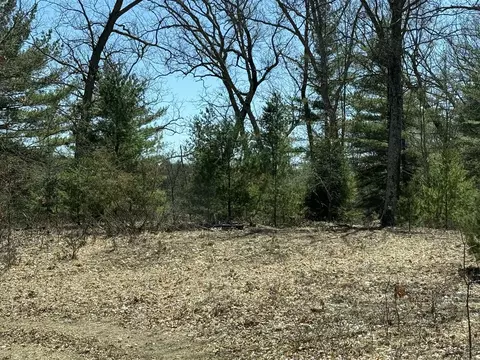 8900 E Koenig, Irons, MI 49644 photo 18